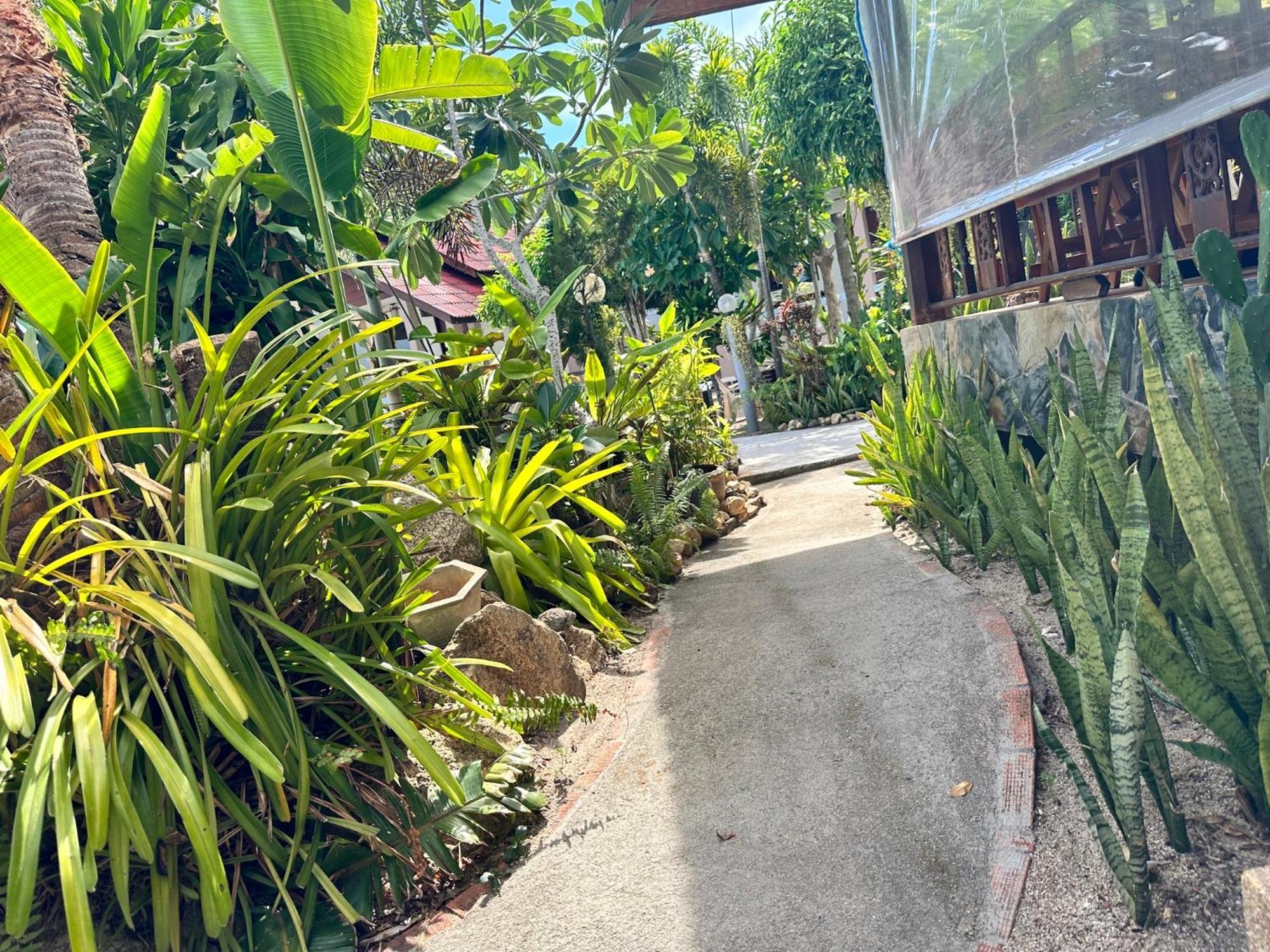 Phangan Lodge Baan Tai Exterior photo